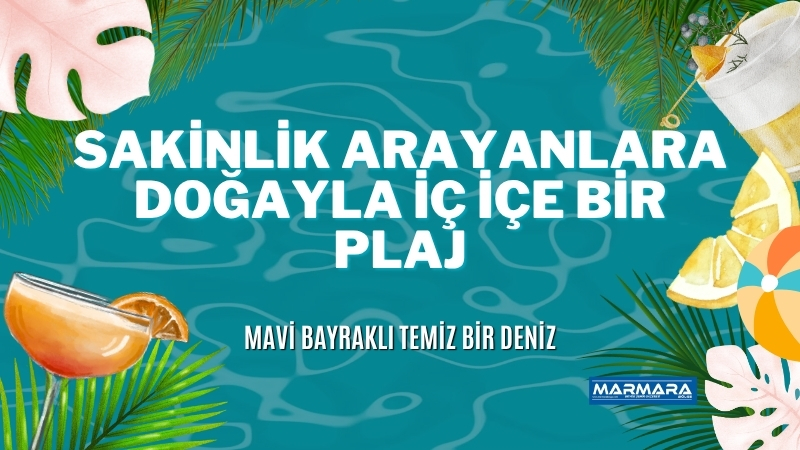 Temiz denizi, sakin atmosferi ve doğal güzellikleriyle Akarca Plajı, İzmir'de