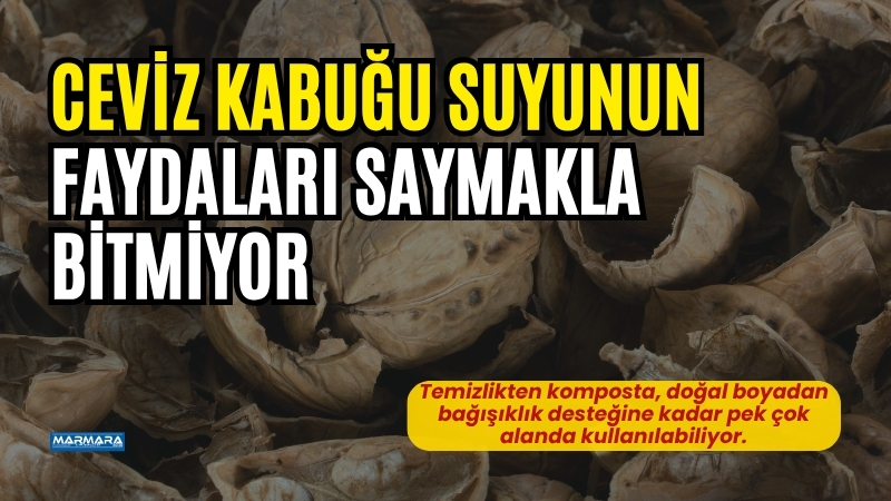  Balıkesir’de de çoğu zaman çöpe giden ceviz kabukları, doğadan gelen