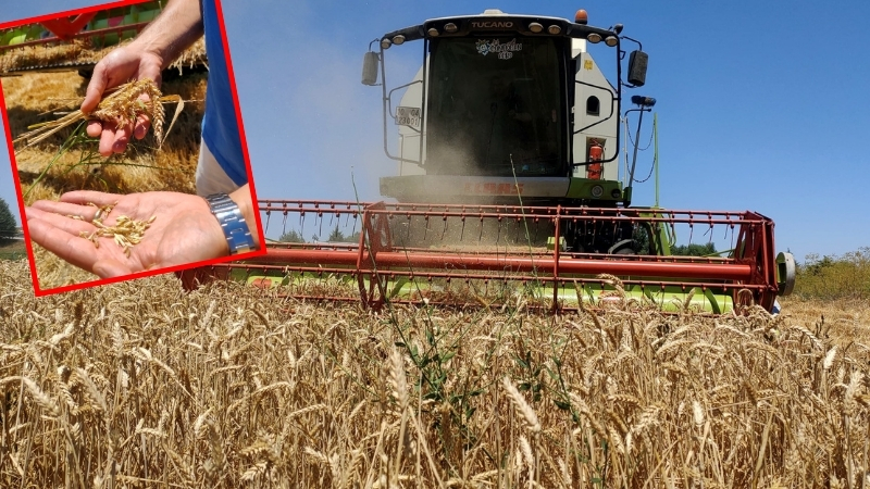 Balıkesir Üniversitesi, akademik başarısını üretimle taçlandırıyor. Çağış Yerleşkesi’ndeki tarım arazilerinde