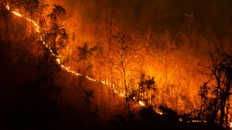 Orman yangınlarına neden olanlara ağır cezalar yolda. Balıkesir Orman Bölge