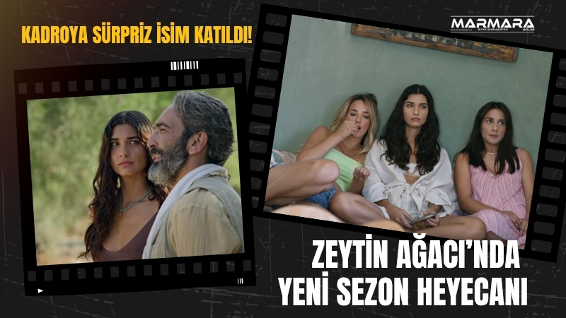Netflix'in sevilen dizisi Zeytin Ağacı, üçüncü sezonuyla geri dönmeye hazırlanıyor.