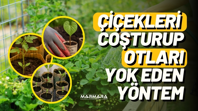 Evdeki en basit malzeme, bahçenizde büyük işler başarabilir. Sadece bir