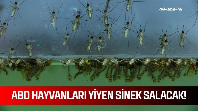Koronavirüs pandemisinden sonra dünya genelinde sıkça tartışılmaya başlanan biyolojik saldırı