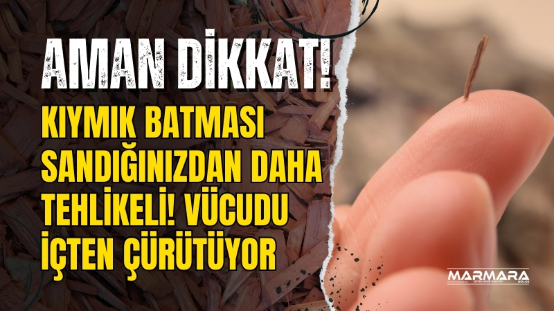 Küçük gibi görünse de vücuda kıymık batması bazı durumlarda ciddi
