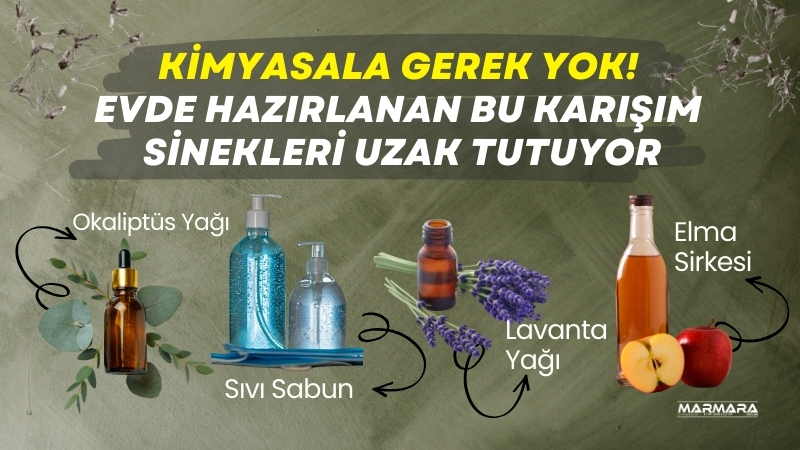 Yaz mevsiminin en can sıkıcı misafirlerinden biri olan sinekler, artık