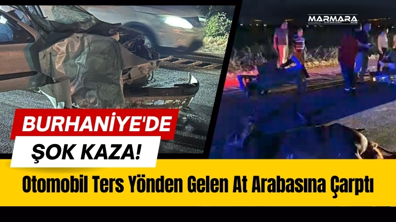 Balıkesir'in Burhaniye ilçesinde otomobilin ters yönden gelen başıboş bir at