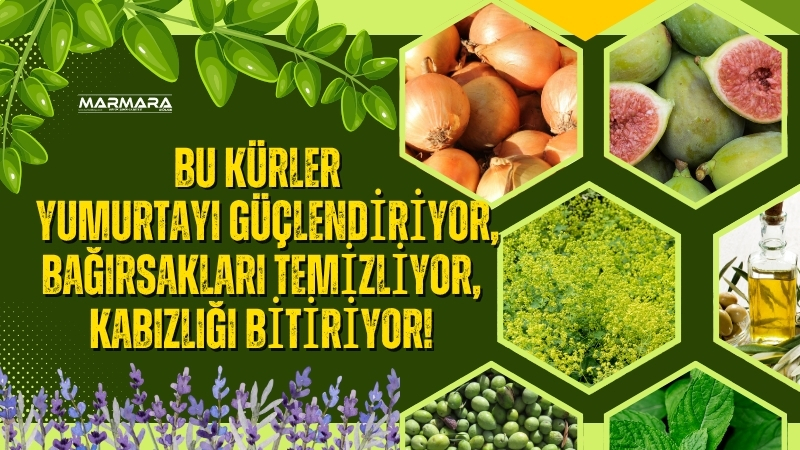 Sağlıklı yaşamın sırları ekrana taşındı, doğadan gelen şifa önerileriyle birçok