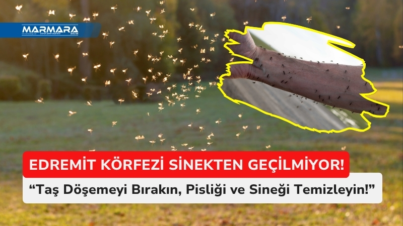 Balıkesir’in gözde turizm merkezlerinden Edremit Körfezi, bu yaz sezonuna sinek