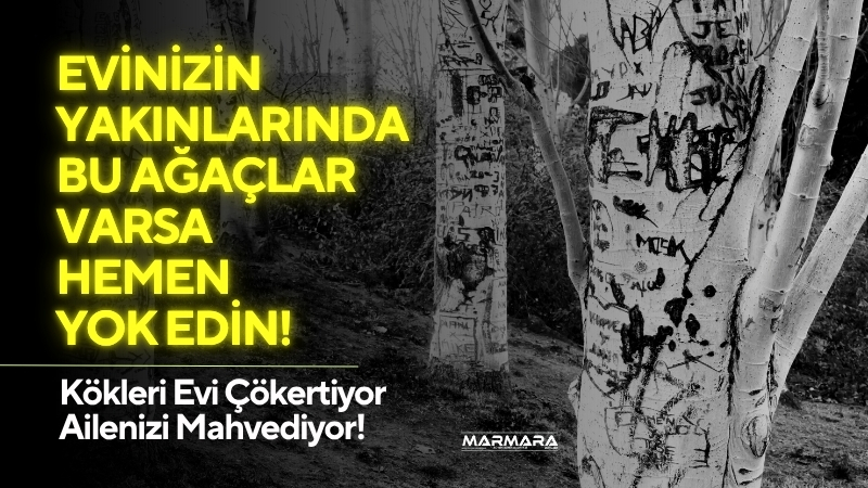 Bahçenize güzellik katmak isterken evinizi tehlikeye atıyor olabilirsiniz! Uzmanlar, altyapıyı