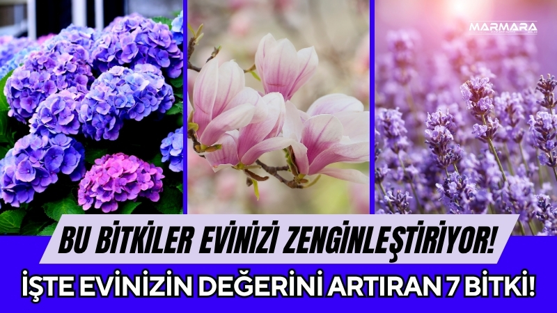 Ev satın alacakların ilk dikkat ettiği unsurlardan biri artık sadece