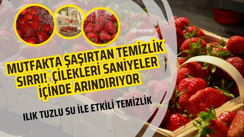 Balıkesir’de yetişen çileklerinizi sirke ya da karbonat kullanmadan da hijyenik