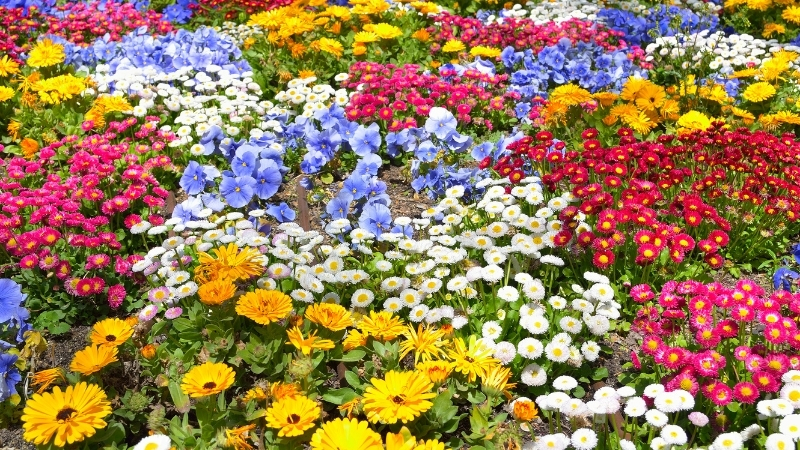 CEK - Marmara Bölge Gazetesi