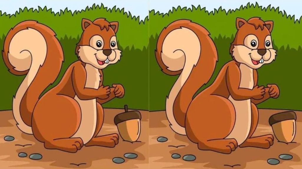 İlk bakışta aynı gibi görünen bu iki resim arasında 3