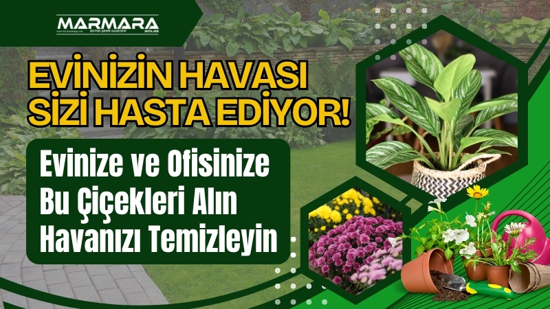 Ankara Üniversitesi Ziraat Fakültesi’nden Prof. Dr. Soner Kazaz, ev ve