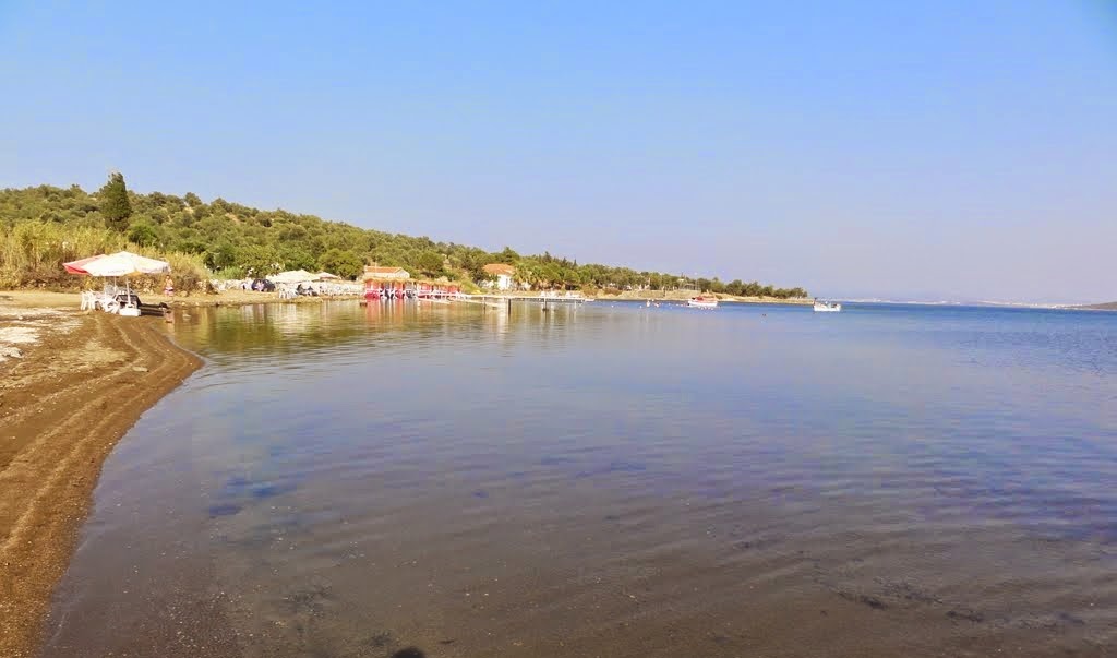 Balıkesir’in En Huzurlu Köşesi: Patriça Koyu Doğal Güzelliğiyle Büyülüyor Paterica Koyu Burnu Plaji Ayvalik - Marmara Bölge Gazetesi