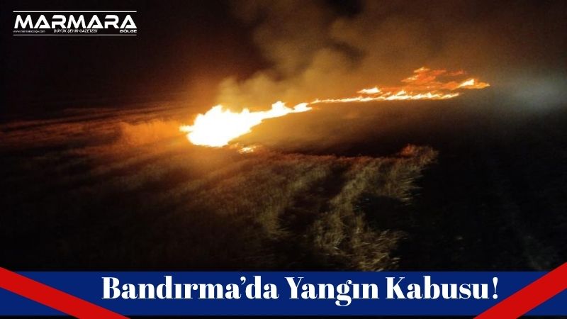 Balıkesir’in Bandırma ilçesinde farklı noktalarda çıkan ot, anız ve arazi