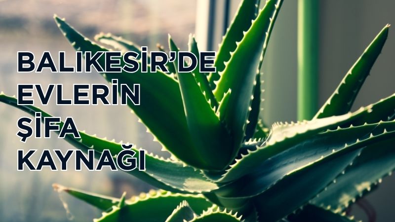 Balıkesir’de evini ferahlatmak, havasını temizlemek ve huzurlu bir ortam yaratmak