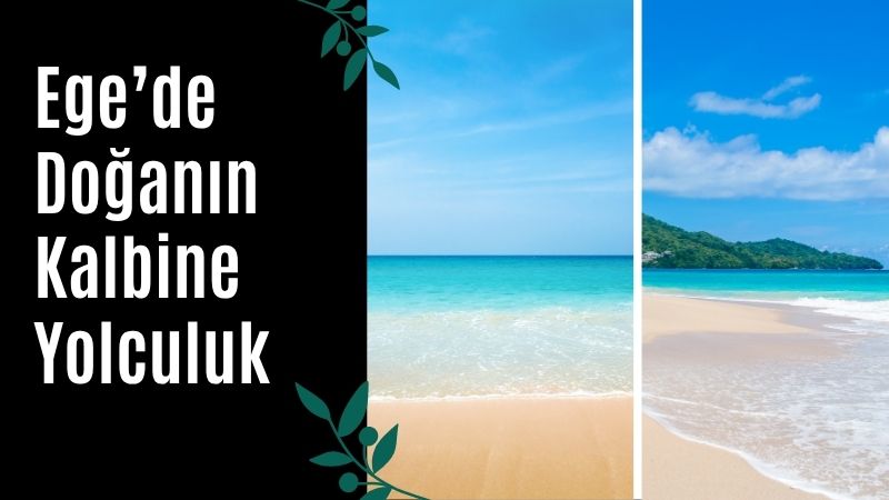 İzmir’in Karaburun ilçesinde yer alan Mimoza Koyu, hâlâ keşfedilmemiş bir