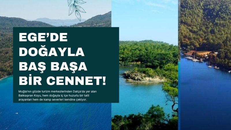 Muğla’nın gözde turizm merkezlerinden Datça’da yer alan Balıkaşıran Koyu, hem