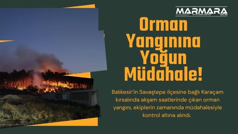 Balıkesir’in Savaştepe ilçesine bağlı Karaçam kırsalında akşam saatlerinde çıkan orman