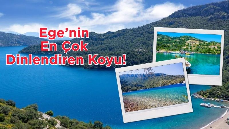 Muğla’nın Dalaman ilçesinde, Kapukargın Mahallesi sınırlarında yer alan Sarsala Koyu;