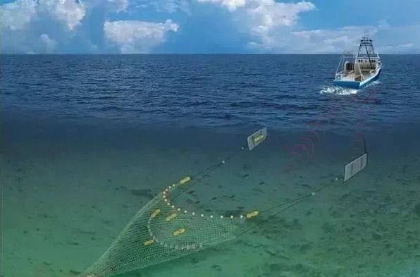 WhatsApp Image 2025 07 16 at 14.39.50 - Marmara Bölge Gazetesi