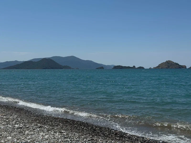 XL - Marmara Bölge Gazetesi