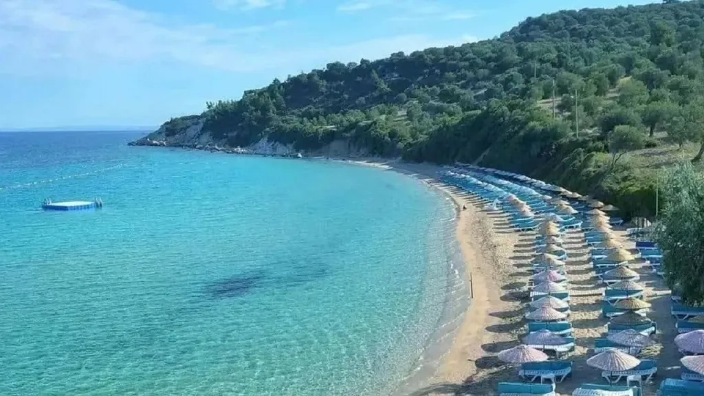 bademli dikili - Marmara Bölge Gazetesi