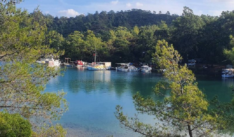 Ege’de Doğayla Baş Başa Bir Cennet! balikasiran koyu kamp alani - Marmara Bölge Gazetesi