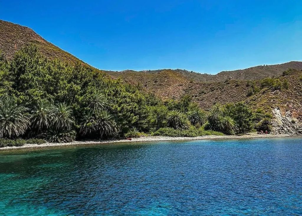 datca hurmali buk - Marmara Bölge Gazetesi