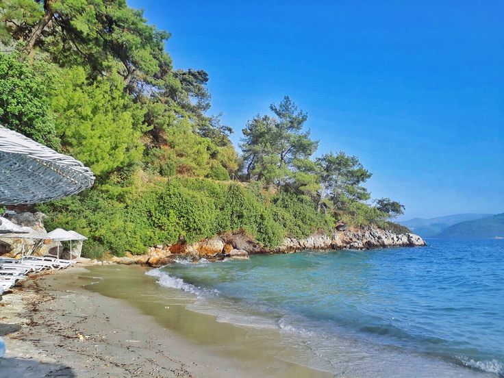 e68e519f010d2e2f18c7413691c3422c - Marmara Bölge Gazetesi