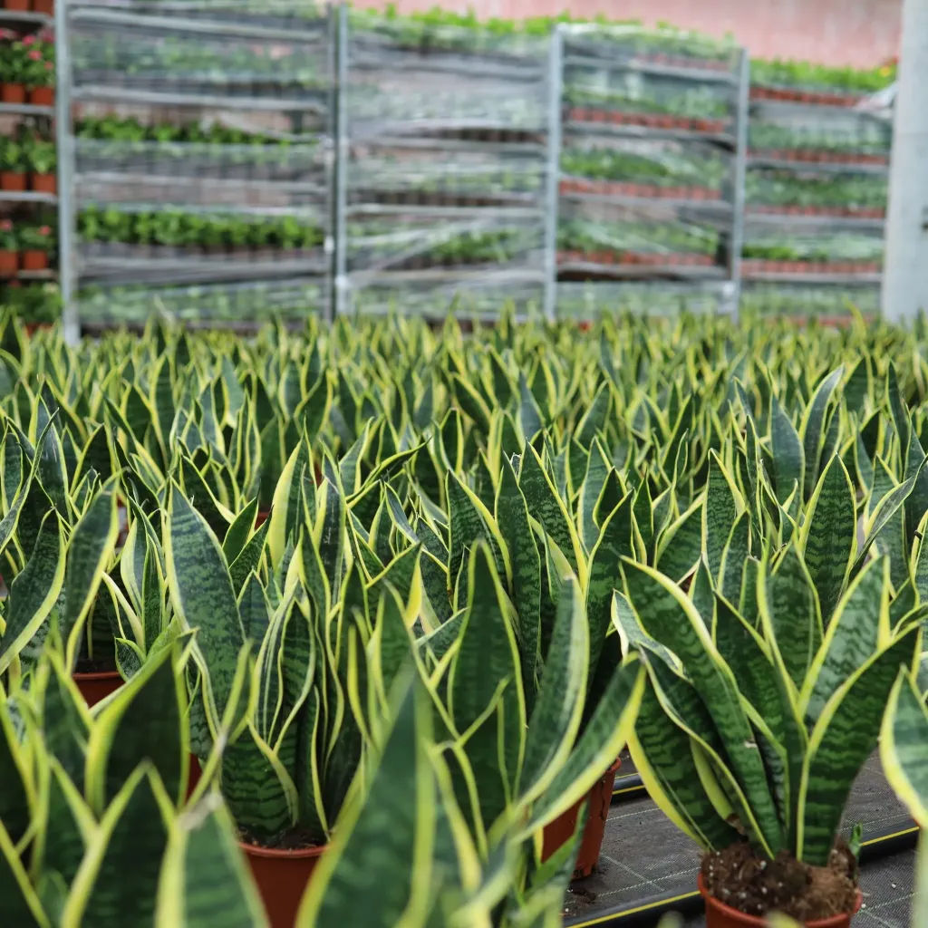 ek gorseller eticaret gorseller kopyasi 1 - Marmara Bölge Gazetesi