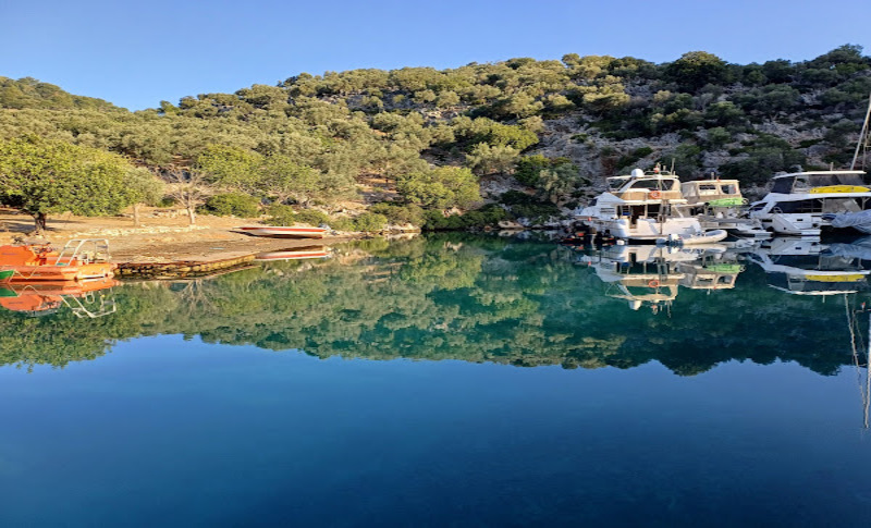 gobunkoyu - Marmara Bölge Gazetesi