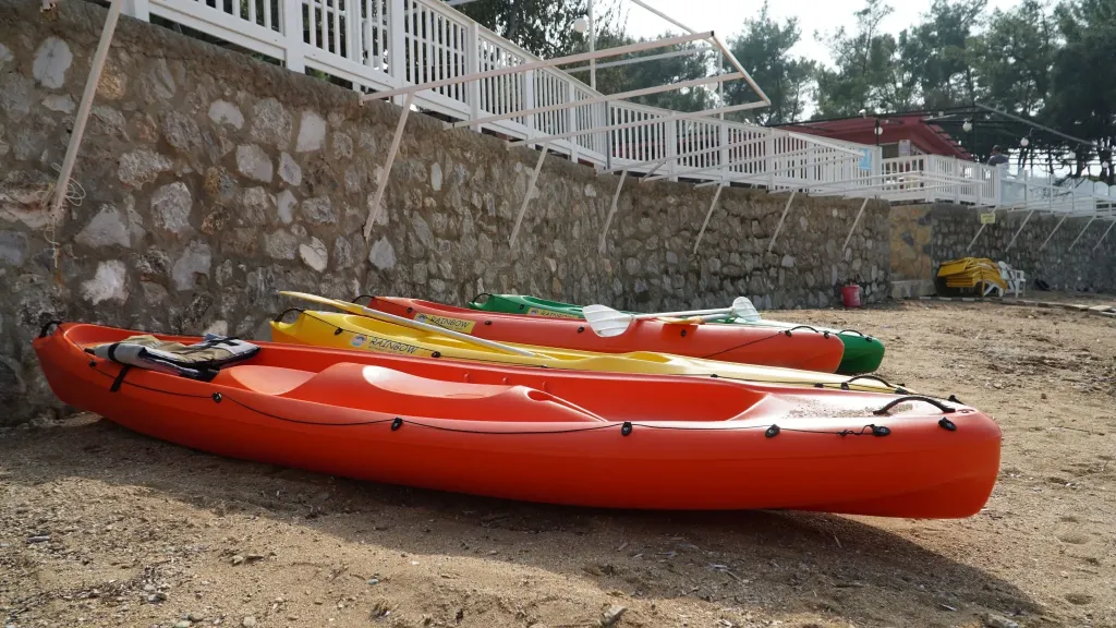 gokkusagi koyu kano 1 - Marmara Bölge Gazetesi