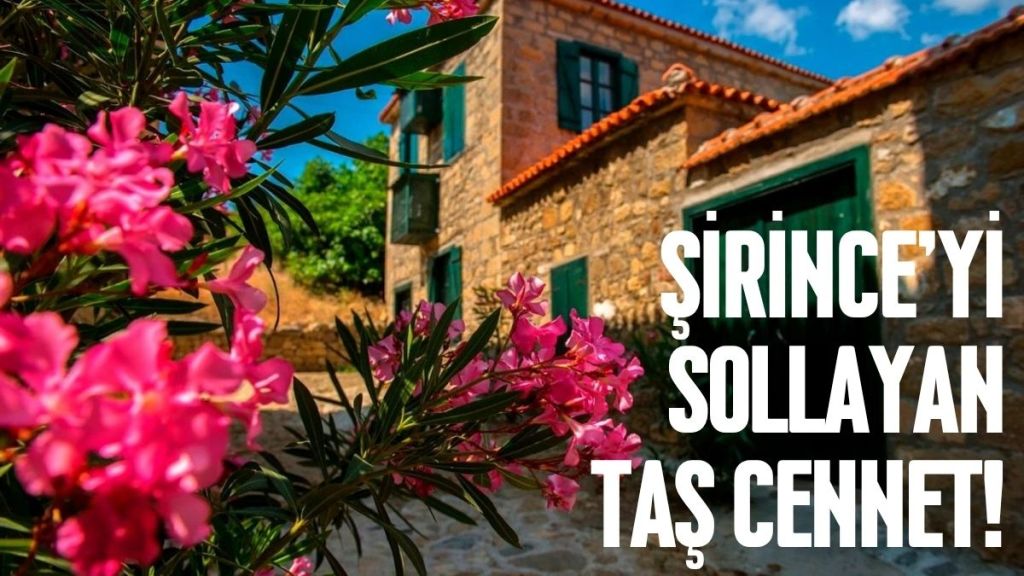 Ege’nin kuzeyinde, Kaz Dağları’nın yamaçlarına kurulmuş olan Adatepe Köyü, taş