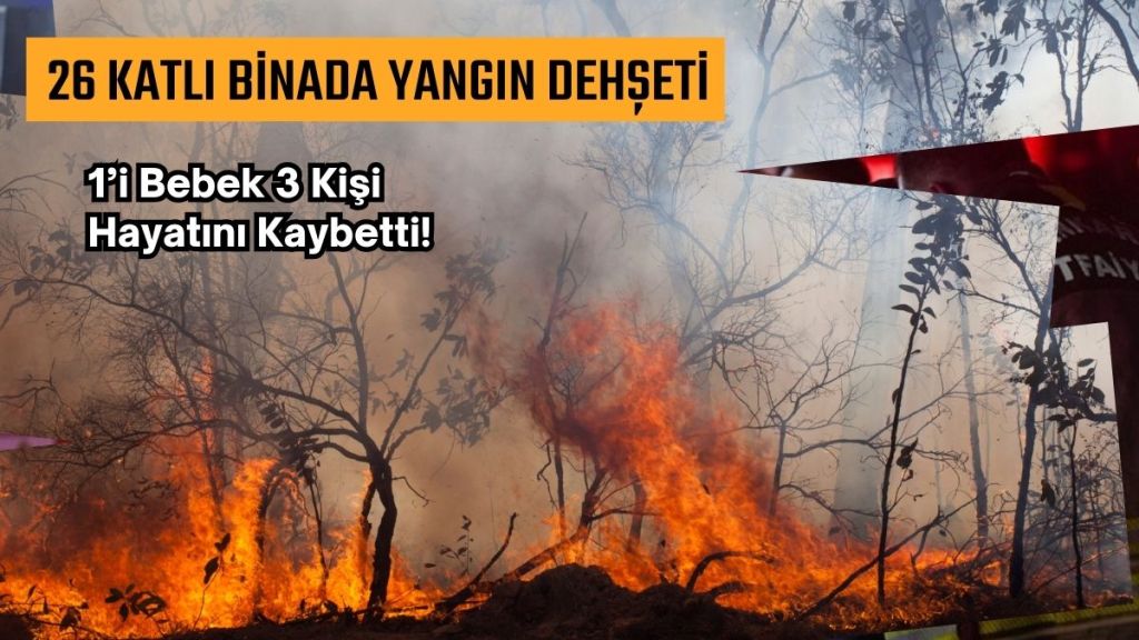 Başkent Ankara dün gece büyük bir yangın felaketiyle sarsıldı. Çankaya