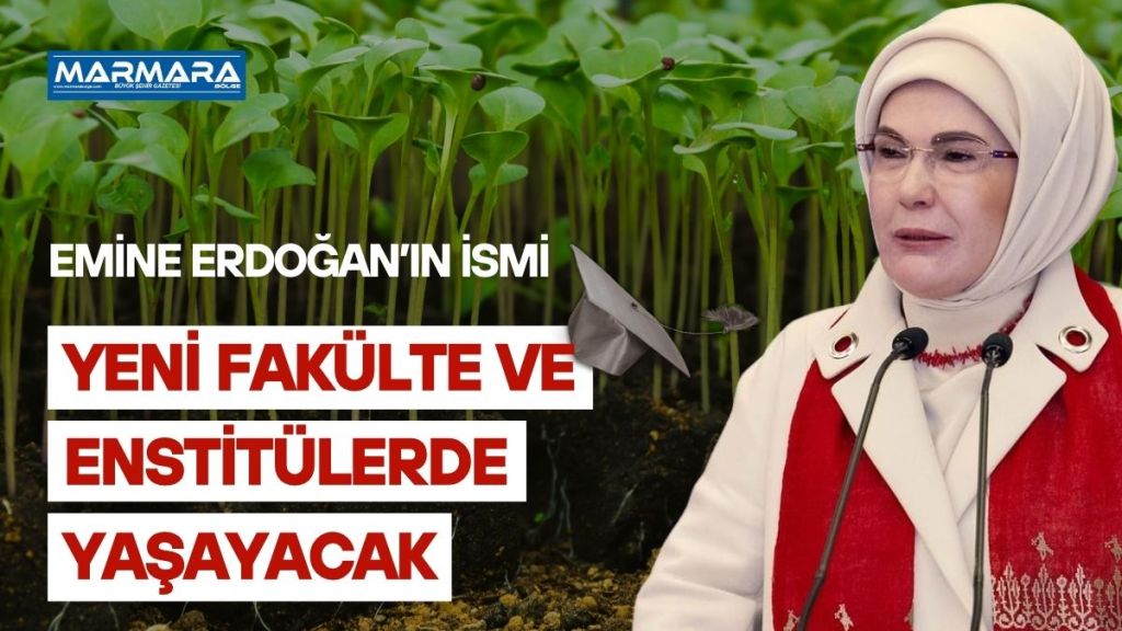 Cumhurbaşkanı Recep Tayyip Erdoğan’ın imzasıyla yayımlanan yeni kararla birlikte, Türkiye’deki