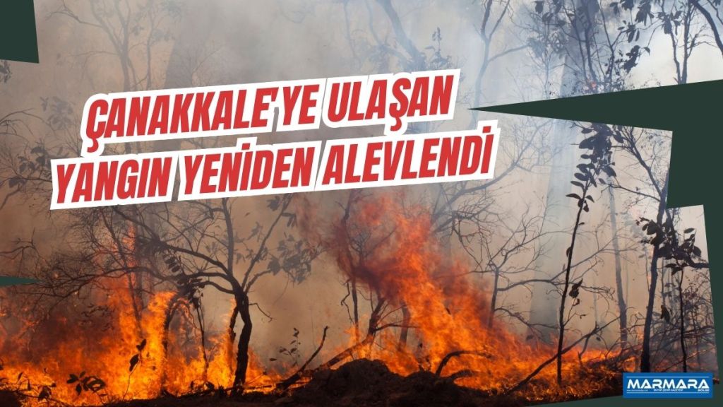 Tekirdağ'ın Şarköy ilçesinde başlayan yangın rüzgarın da etkisiyle dün gece