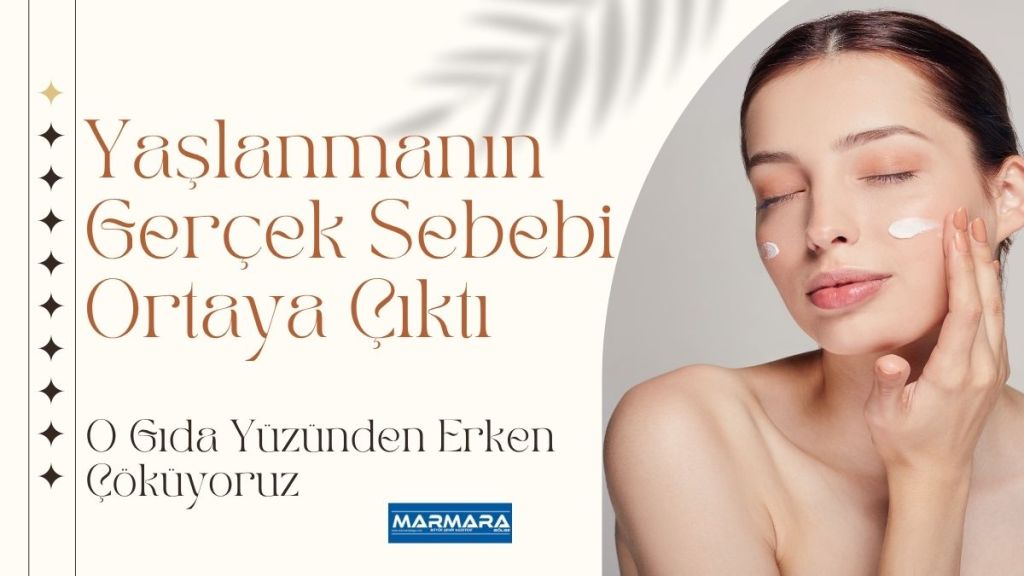 Türkiye'nin tanınmış iç hastalıkları ve kardiyoloji uzmanı Prof. Dr. Canan