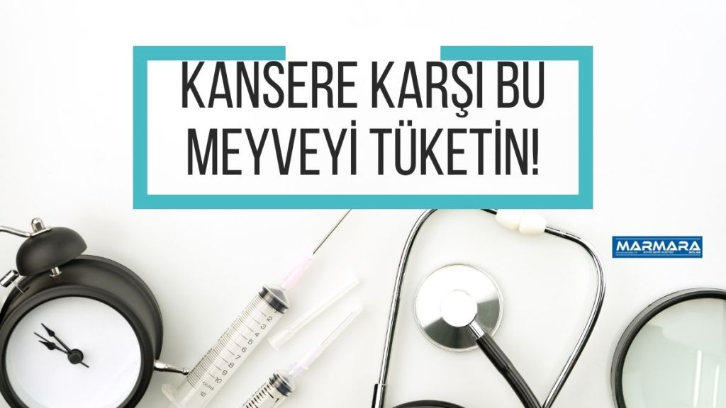 Prof. Dr. İbrahim Saraçoğlu, katıldığı YouTube programında en faydalı meyveleri