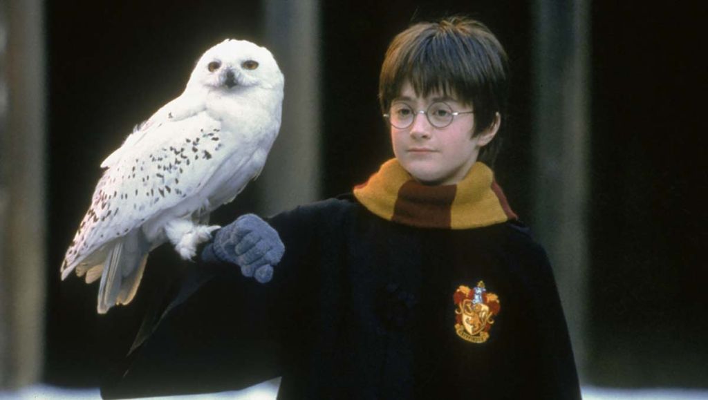 Harry Potter Efsanesinin Başlangıcı: Felsefe Taşı 23 Yıldır Büyüsünü Koruyor harry potter ve hedwig - Marmara Bölge Gazetesi