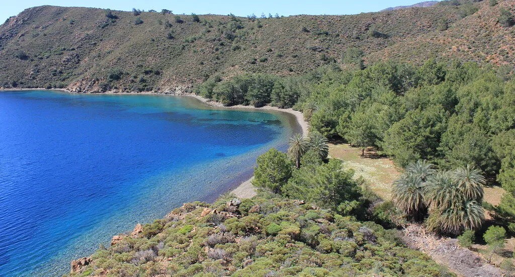 Datça Yarımadası’nın en el değmemiş koylarından Hurmalı Bük, kendine has
