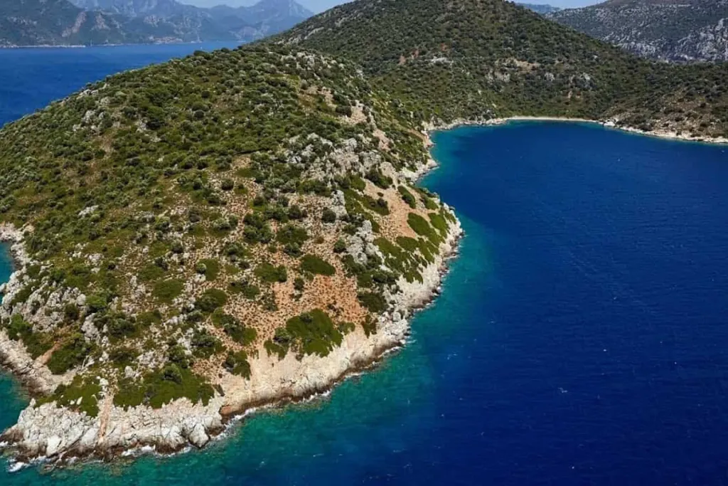 kameriye adasi 1 - Marmara Bölge Gazetesi