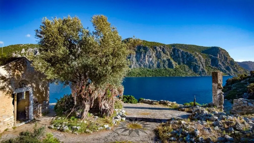 kameriye31 copy 1080x675 1 - Marmara Bölge Gazetesi