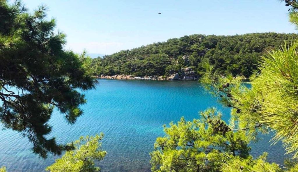 Balıkesir’de Kamp ve Dalışın Buluştuğu Yer! ortunc koyu c - Marmara Bölge Gazetesi
