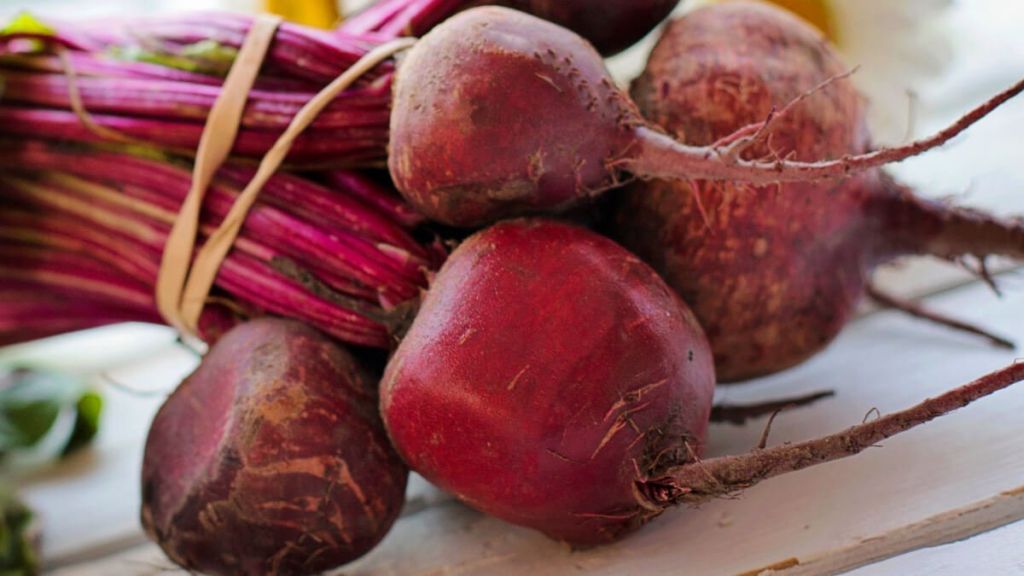 ruyada pancar gormek yemek tarlasi ne anlama gelir 7772 - Marmara Bölge Gazetesi