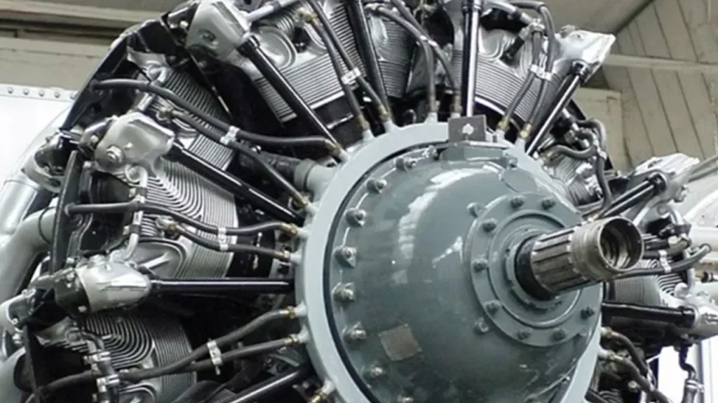 turkiyeye kafa tutan hindistan belasini buldu 40 yillik tarihi proje basarisiz oldu 63dc7b - Marmara Bölge Gazetesi