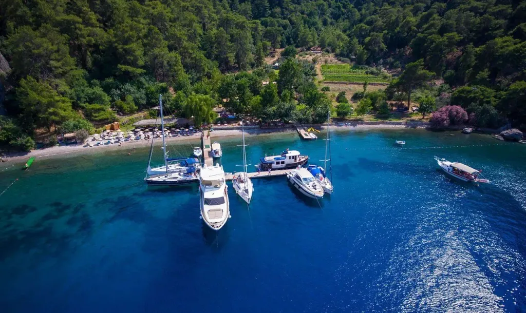 turunc pinari - Marmara Bölge Gazetesi