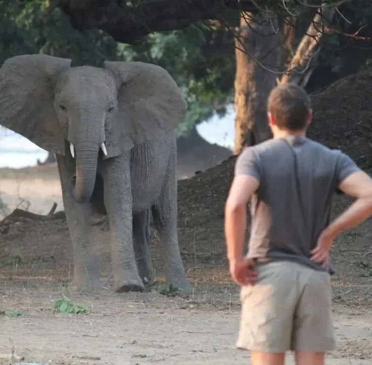 whatsapp image 2025 07 24 at 11 quj5 - Marmara Bölge Gazetesi