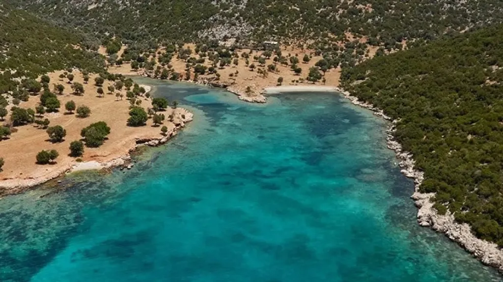 zeytineliplajjjj - Marmara Bölge Gazetesi